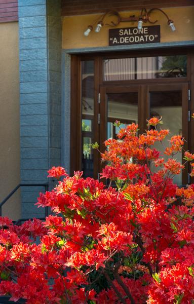 Foresteria Valdese Hotel Торе Пеличе Екстериор снимка